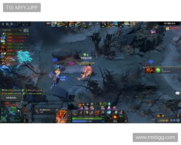 RNG在Major赛中的个人能力分析与表现评估