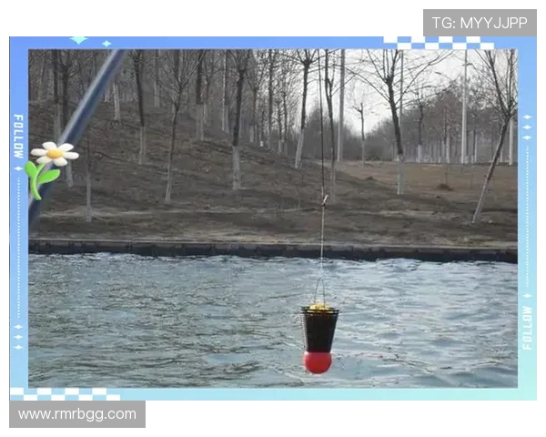 从零起步掌握排球团队协作技巧全面指南与实战经验分享