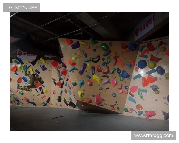 南京攀岩队在极限运动会中的战术表现分析与点评