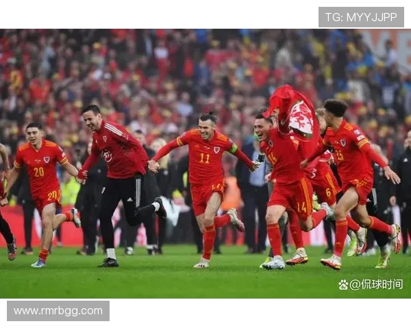 法国与威尔士全场比赛精彩回顾及精彩瞬间分析