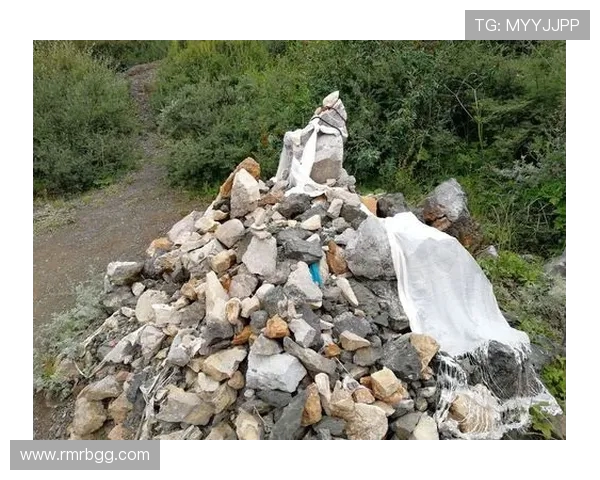 萨林杰的文学魅力与人生哲学探讨：从孤独到自我救赎的心灵旅程