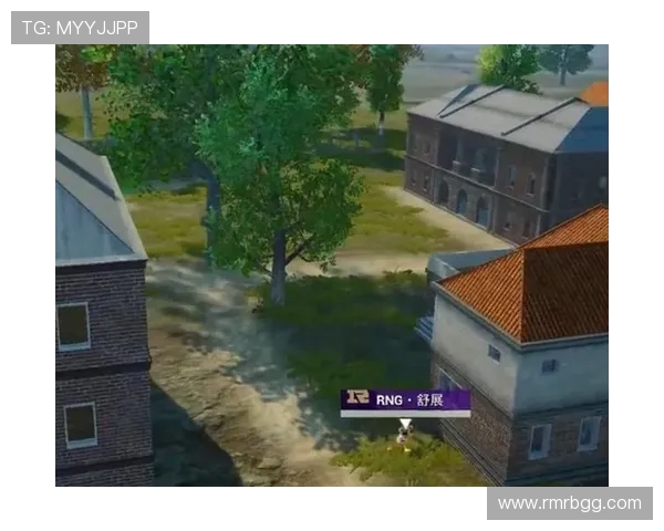 和平精英热议RNG团队协作引发的争议与反思