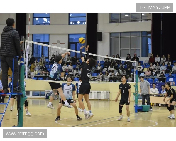 成都排球队的力量揭秘：排球巨献背后的拼搏与荣耀